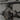 Qore Performance ICEPLATE® Curve - Gear Town