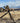 Tracer Tactical Tripod Concealment Socks