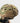 MATBOCK Ops Core Helmet Skins